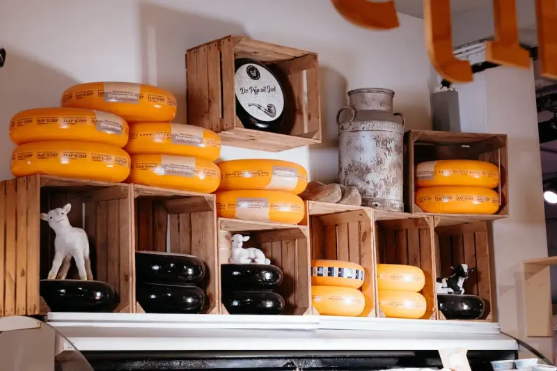 Artisanale kaaswielen van Nederlandse kaasmakers